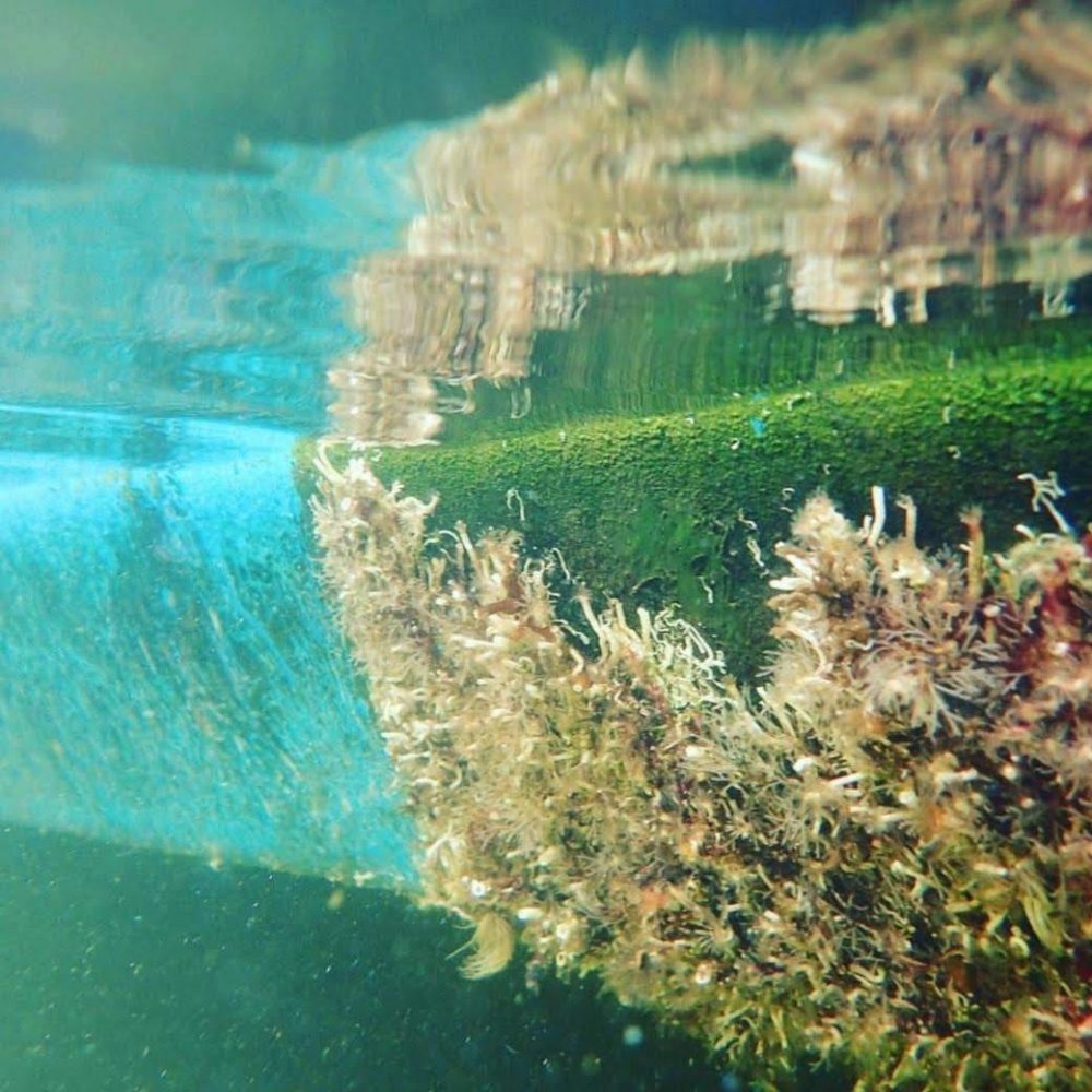 Hull Cleaning & Diving Services Bottoms & Props